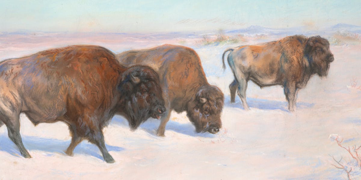 絵画。原画【Bear bought bread】 絵画。原画【Bear bought bread】 絵画。原画【Bear bought bread】